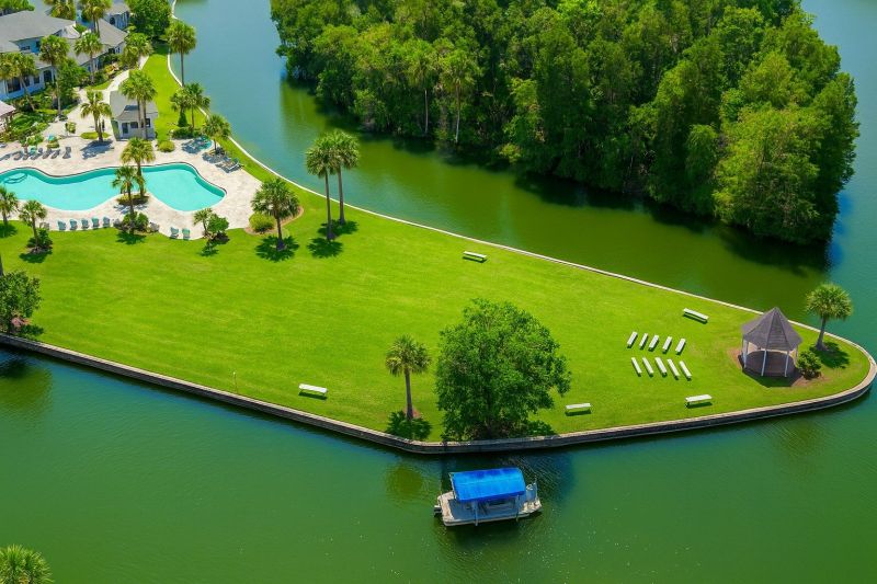 Lakefront Property Clearing