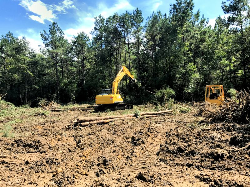 Machinery in Action During Land Clearing