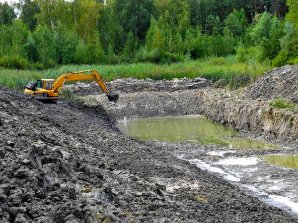Cost of Lake Lot Clearing in Gainesville