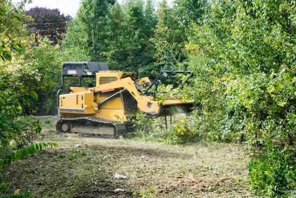Cost of Pathway Clearing in Gainesville