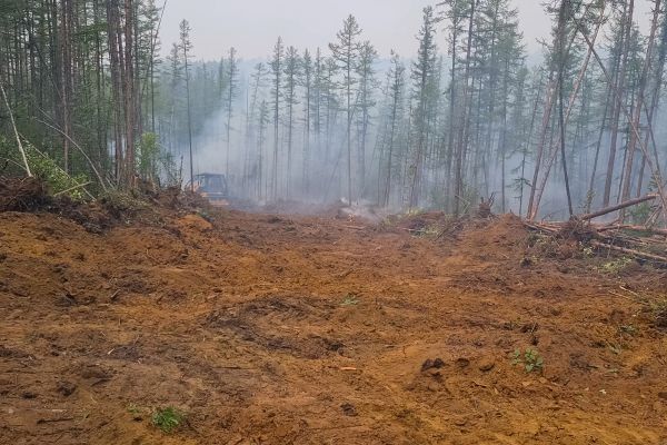 Cost of Hill Clearing in Gainesville