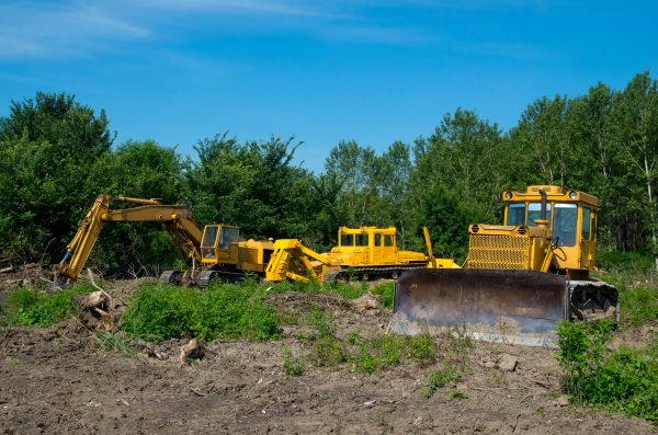 Cost of Bulldozer Clearing in Gainesville