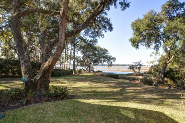 Cost of Lakefront Property Clearing in Gainesville