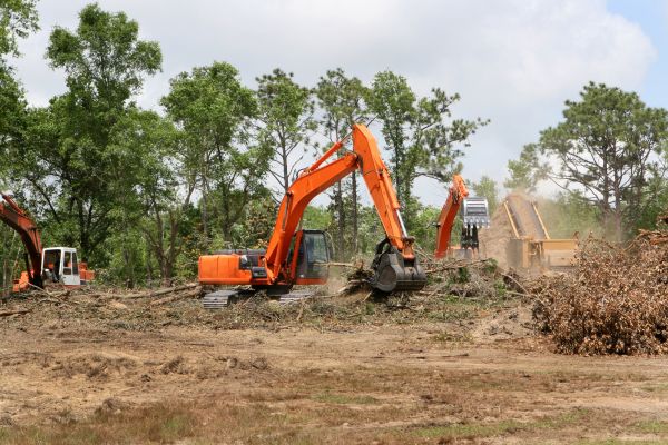 Cost of Commercial Lot Clearing in Gainesville