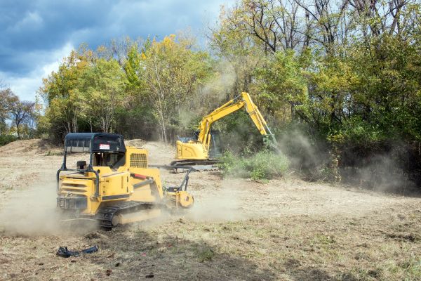 Cost of Terrain Clearing in Gainesville