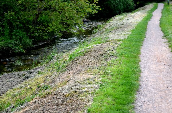 Cost of Trail Cutting in Gainesville